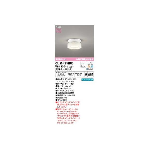オーデリック ODELIC OL291251BR ランプ別梱包