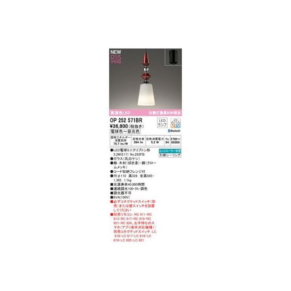 オーデリック ODELIC OP252571BR ランプ別梱包