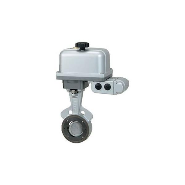 【人間宅送りとどける不可】KITZ キッツ EXS200-10SHB 80A 直送 代引不可 電動 EXS型／ON／OFF・夢見鳥 ダクタイル鉄製 SHB
