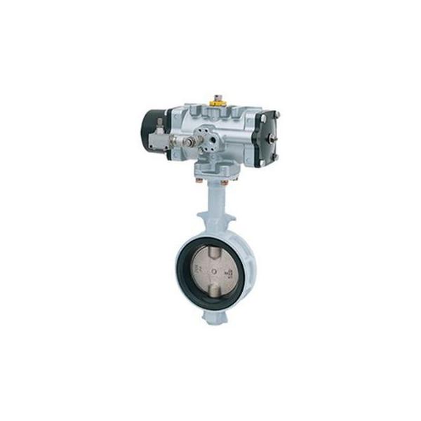 fate.co 文野栄治イーグルクローペンダント シルバー