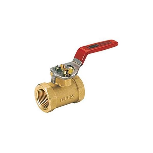 【1個入】 【個人宅配送不可】KITZ キッツ FV 50A 直送 代引不可 特殊タイプ キッツバタ ねじ込み形 FV FV50A