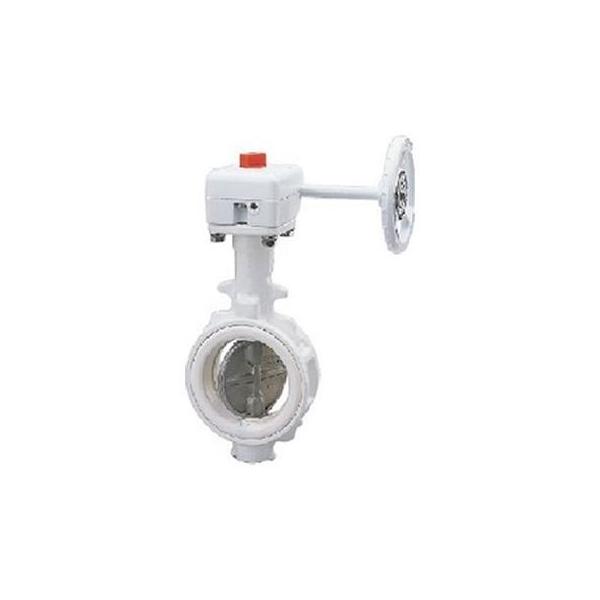 【個人宅配送不可】KITZ キッツ G-10NFJUW 80A 直送 代引不可 ダクタイル鉄製NFJシリーズ G−10NFJUW G10NFJUW80