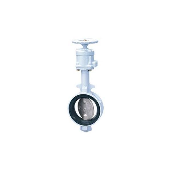 【個人宅配送不可】KITZ キッツ VG-10DJ 125A 直送 代引不可 ダクタイル鉄製DJシリーズ VG−10DJ VG10DJ125A