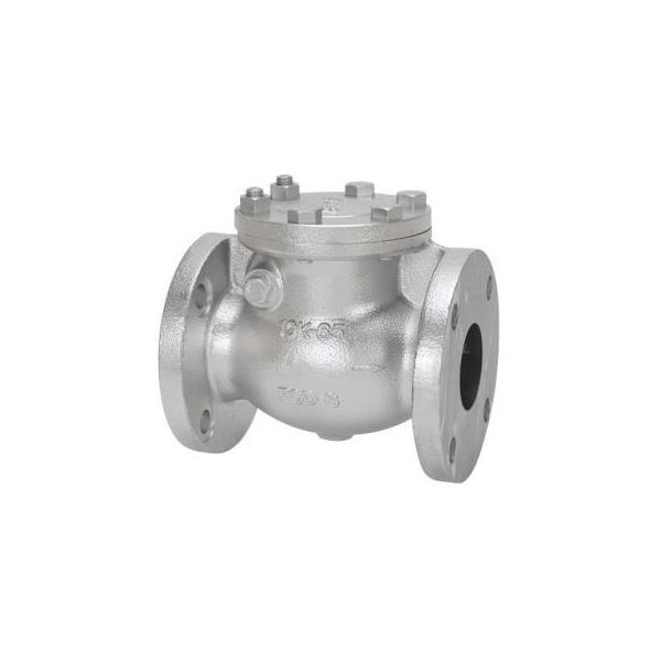 【個人宅配送不可】東洋バルヴ 10-DNSF-N 150A 直送 代引不可 ダクタイル チャッキ 10−DNSF−N 10DNSFN150A