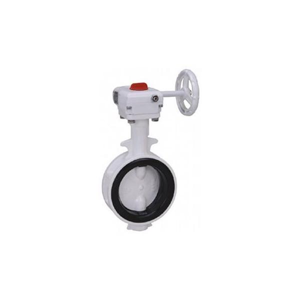 【個人宅配送不可】東洋バルヴ 10L2-N-CN 65A 直送 代引不可 バタフライ ナイロン 10L2−N−CN 10L2NCN65A