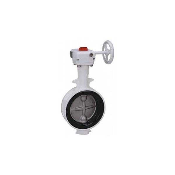 【個人宅配送不可】東洋バルヴ 10L2-N-U-CN 50A 直送 代引不可 バタフライ ナイロン 10L2−N−U−CN 10L2NUCN50A