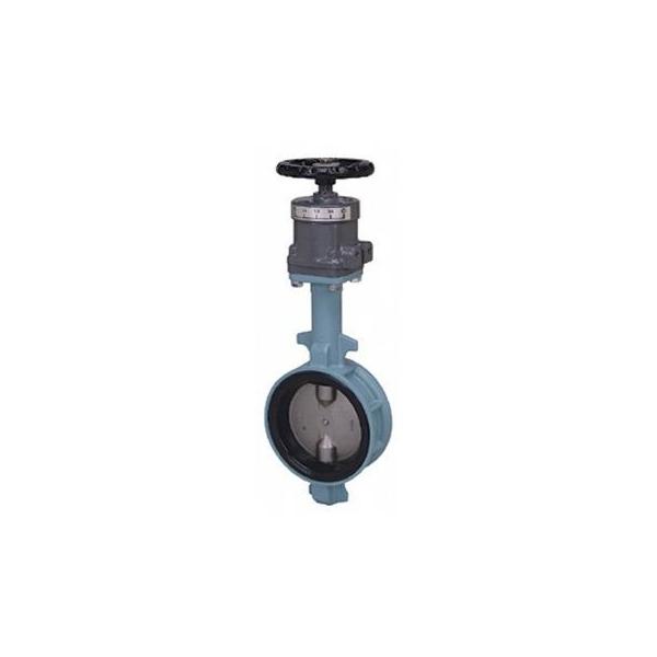 【個人宅配送不可】東洋バルヴ 10L3-N-UE 80A 直送 代引不可 バタフライ ダクタイル 10L3−N−UE 10L3NUE80A