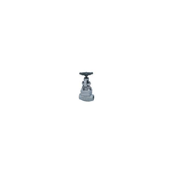 【個人宅配送不可】東洋バルヴ S800-UF-GW 20A 直送 代引不可 ステンレス鍛鋼 グローブ S800−UF−GW S800UFGW20A