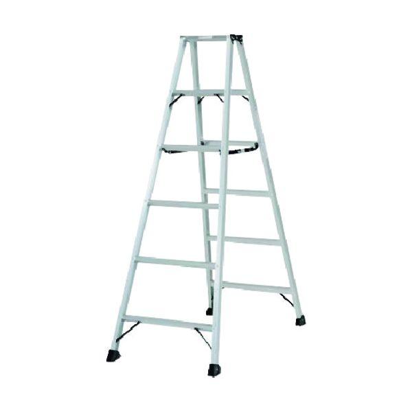 標本】ヤマブキマラガシーハナムグリ