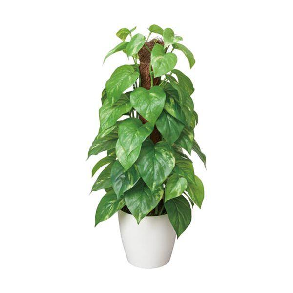 382A50N 人工植物 フレッシュポールポトス 高さ480の通販は