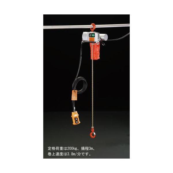 【個人宅配送不可】直送 代引不可 エスコ EA987DD-3 200ｋｇ/3ｍ 電動 チェーンブロック EA987DD3【キャンセル不可】