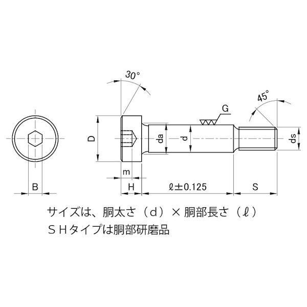 【個人宅配送不可】【個数：100個】ＳＵＮＣＯ 4525824179689 【100個入】 直送 代引不可 GOSHOショルダーBTSHタイプ 12 X 45_1