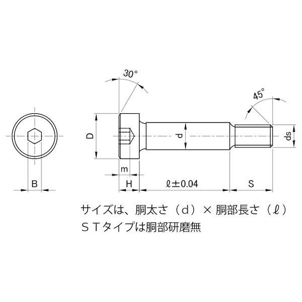 【人間宅送りとどける不可】【個数：80個】ＳＵＮＣＯ 4525824181989 【80個入】 直送 代引不可 GOSHO肩先BTST印字機 16 X 20