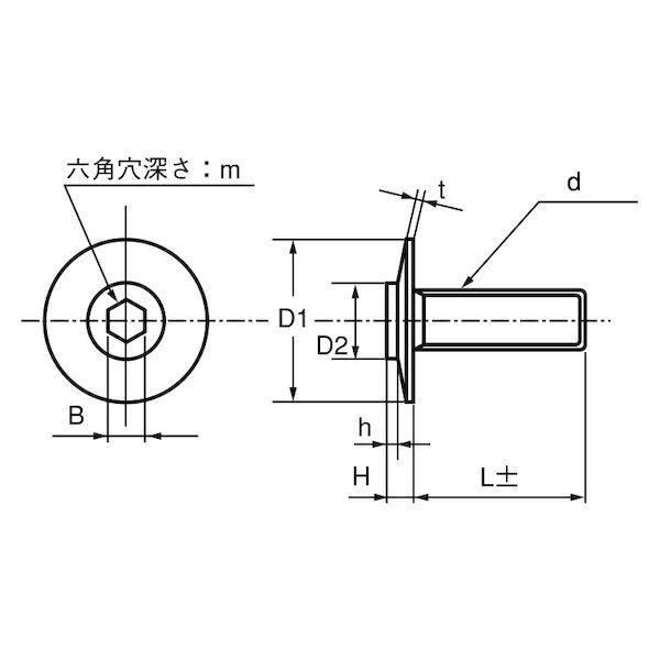 【個人宅配送不可】【個数：4000個】ＳＵＮＣＯ 4525824472353 【4000個入】 直送 代引不可 ニッケル シンヘッドTH−TP−M 3 X 6_1