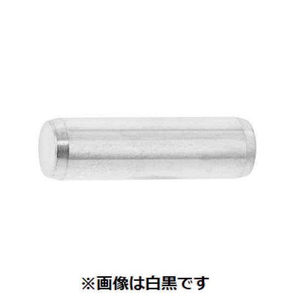 【個人宅配送不可】【個数：100個】ＳＵＮＣＯ 4525824509677 【100個入】 直送 代引不可 SUS 平行ピン B種 大陽製 6 X 20