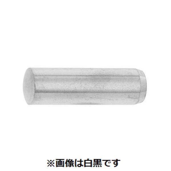 【個人宅配送不可】【個数：100個】ＳＵＮＣＯ 4525824706601 【100個入】 直送 代引不可 SUS 平行ピン A種 大陽製 6 X 20