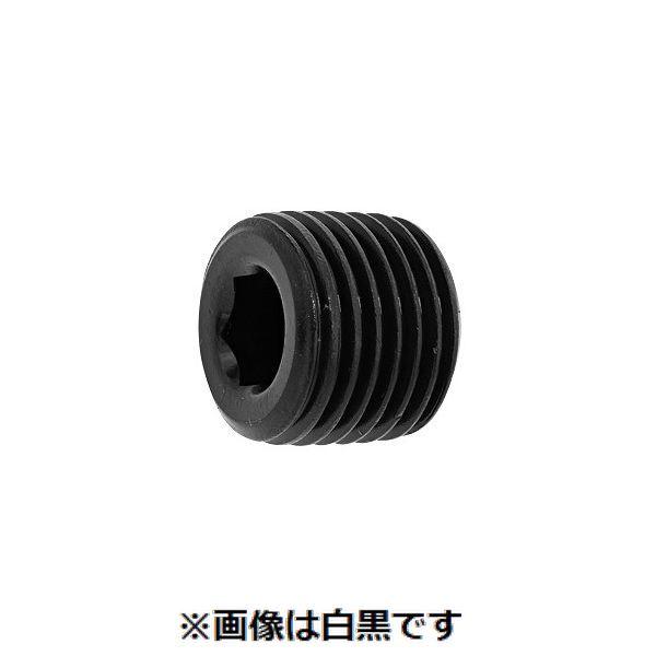 【個人宅配送不可】【個数：500個】ＳＵＮＣＯ 4547809154672 【500個入】 直送 代引不可 三価ホワイト プラグA 浮き PT 1／8
