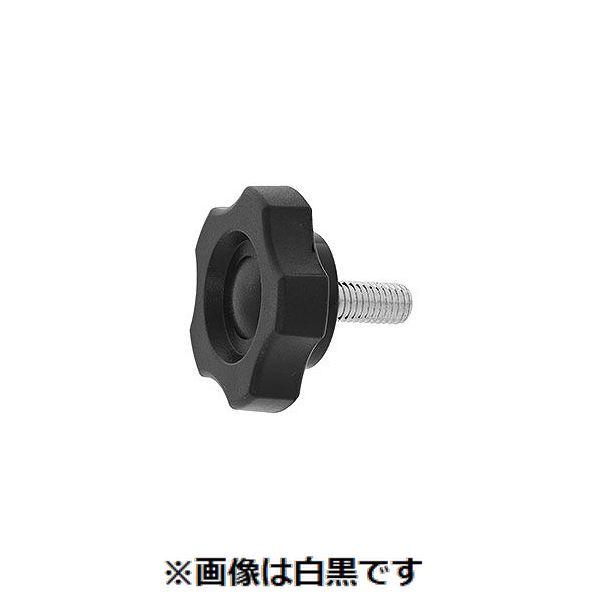 【個人宅配送不可】【個数：70個】ＳＵＮＣＯ 4547809169294 【70個入】 直送 代引不可 三価ホワイト ノブ G−2 ボルト 黒 8 X 35