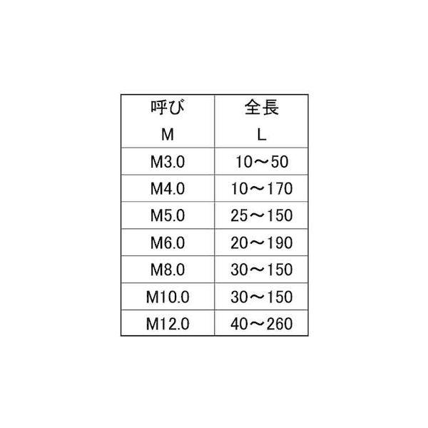 【個人宅配送不可】【個数：100個】ＳＵＮＣＯ 4547809355734 【100個入】 直送 代引不可 ニッケル ECO−BS寸切 12 X 60_2