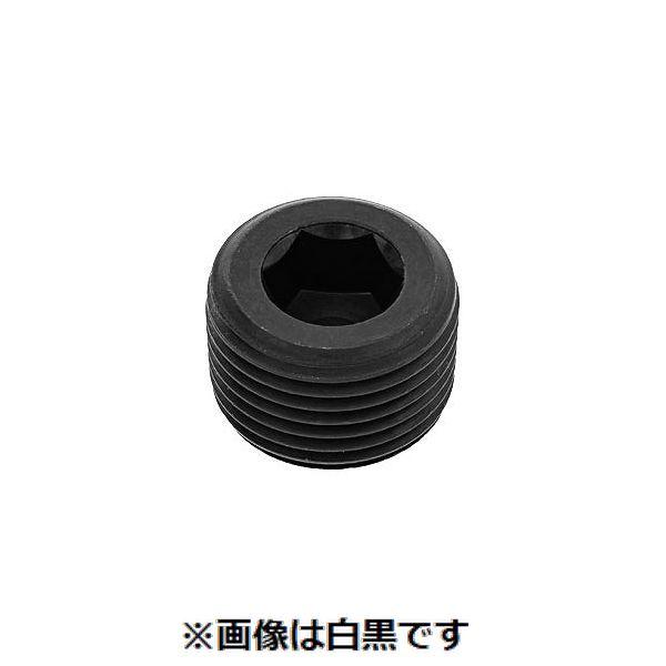 【個人宅配送不可】【個数：50個】ＳＵＮＣＯ 4547809833287 【50個入】 直送 代引不可 プラグ 浮き 日星 PP3 1”