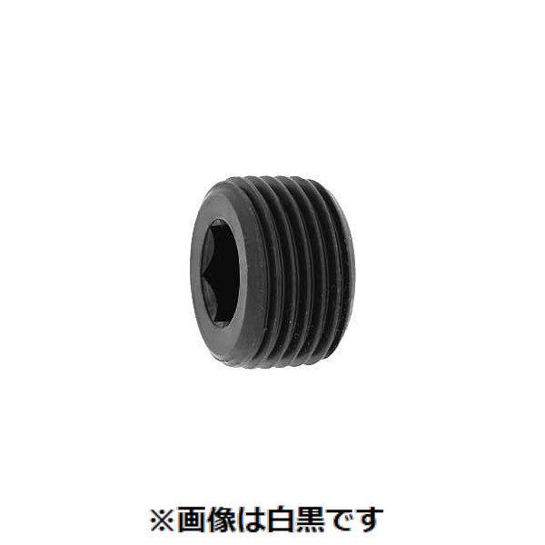 【個人宅配送不可】【個数：25個】ＳＵＮＣＯ 4547809833393 【25個入】 直送 代引不可 プラグ 沈み 日星 PP4 1”1／2