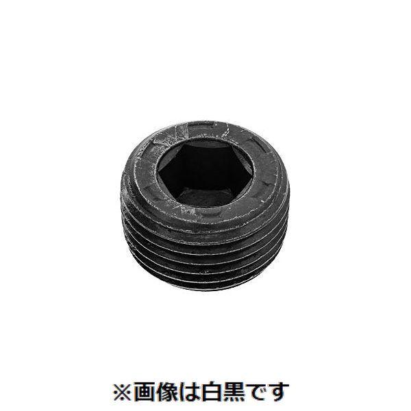 【個人宅配送不可】【個数：100個】ＳＵＮＣＯ 4548325443929 【100個入】 直送 代引不可 プラグ 沈み NPTF アンブラコ 1／4