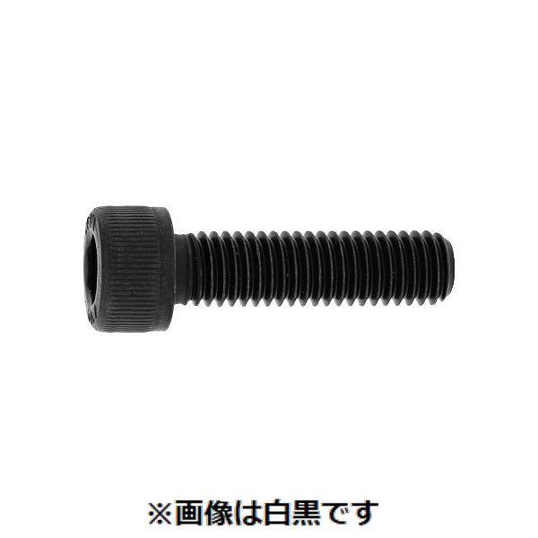 【個人宅配送不可】【個数：40個】ＳＵＮＣＯ 4548325573589 【40個入】 直送 代引不可 10．9 CAP 日産ネジ 12 X 75