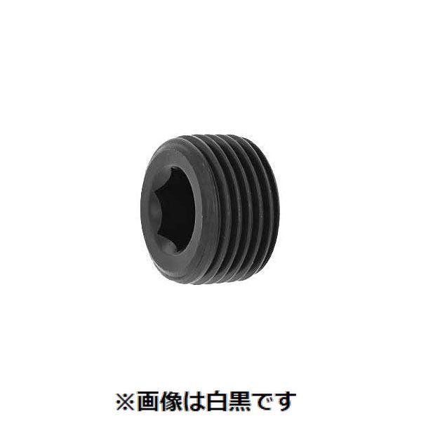 【個人宅配送不可】【個数：1000個】ＳＵＮＣＯ 4548325580280 【1000個入】 直送 代引不可 プラグNB 強力沈み PT 1／16 18,429円