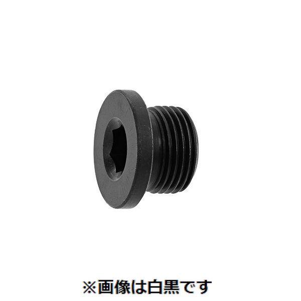 【個人宅配送不可】【個数：50個】ＳＵＮＣＯ 4548325580457 【50個入】 直送 代引不可 NSフランジプラグ G 1／2