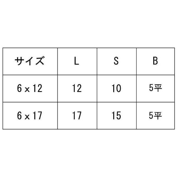 【個人宅配送不可】【個数：300個】ＳＵＮＣＯ 4548325720167 【300個入】 直送 代引不可 ニッケル JCN 六角穴 5平 D＝17 6 X 17_2