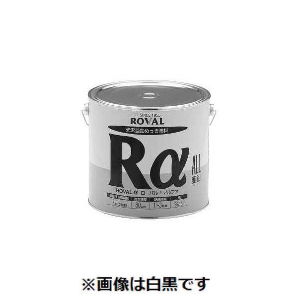 【人間宅送りとどける不可】【個数：1個】ＳＵＮＣＯ 4548833173806 直送 代引不可 置き目バル アルファ ハケヌリタイプ 3．5KG