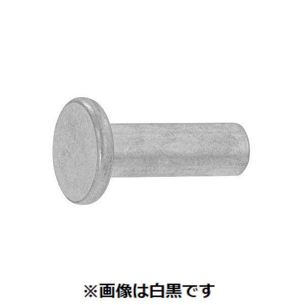 【個人宅配送不可】【個数：500個】ＳＵＮＣＯ 4548833185755 【500個入】 直送 代引不可 薄平リベット 6 X 10
