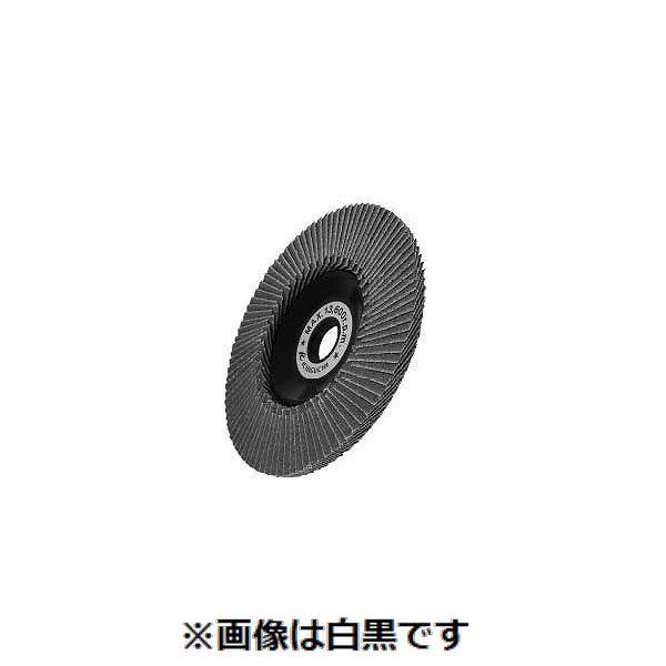 【個人宅配送不可】【個数：5個】ＳＵＮＣＯ 4548833205408 【5個入】 直送 代引不可 イチグチ テクノディスク EタイプA120 100X15