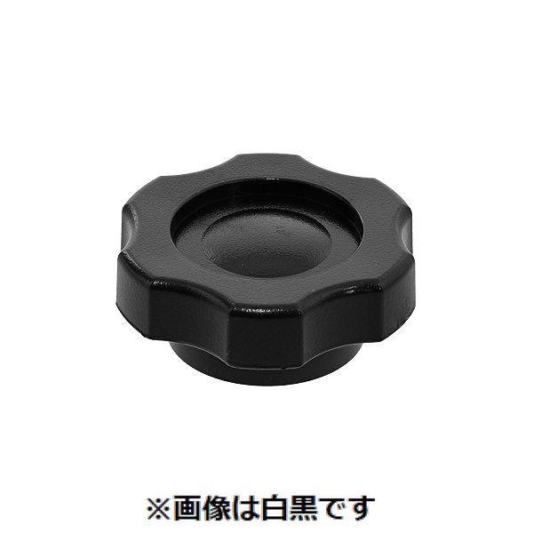 【個人宅配送不可】【個数：100個】ＳＵＮＣＯ 4549388375097 【100個入】 直送 代引不可 グリップナット G4 M12