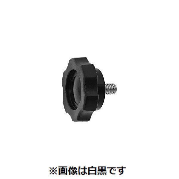 【個人宅配送不可】【個数：100個】ＳＵＮＣＯ 4549388811342 【100個入】 直送 代引不可 三価ホワイト グリップボルト G3 8 X 25