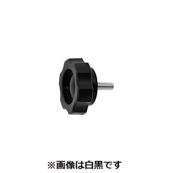 【個人宅配送不可】【個数：100個】ＳＵＮＣＯ 4549388868230 【100個入】 直送 代引不可 三価ホワイト グリップボルト G1 5 X 10