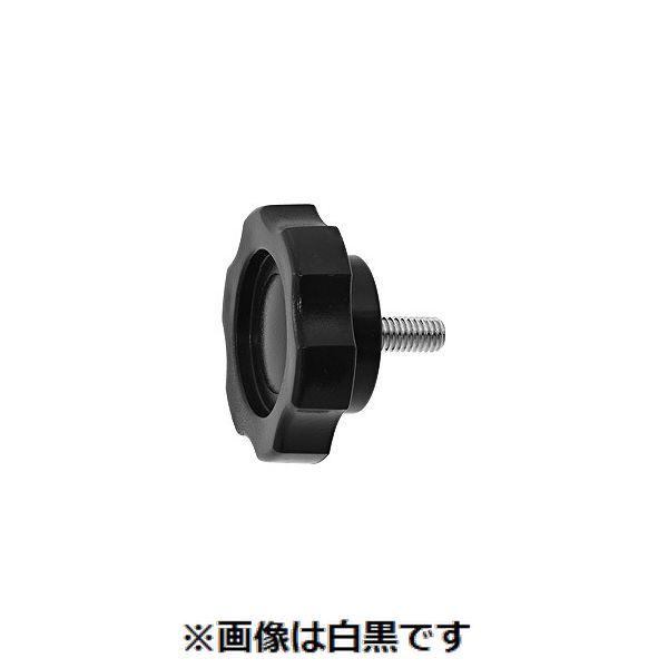 【個人宅配送不可】【個数：100個】ＳＵＮＣＯ 4549388868483 【100個入】 直送 代引不可 三価ホワイト グリップボルト G2 8 X 20