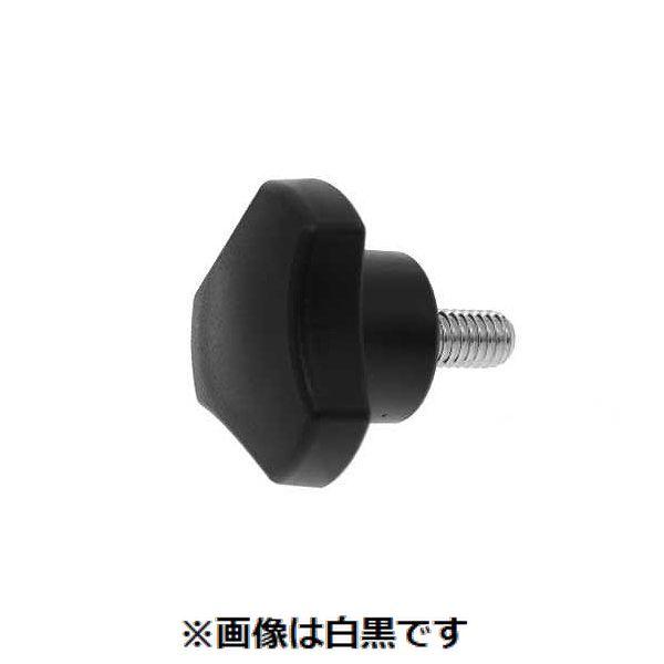 【人間宅送りとどける不可】【個数：100個】ＳＵＮＣＯ 4549638574263 【100個入】 直送 代引不可 三価白いこと グリップボルト S2 6 X 20