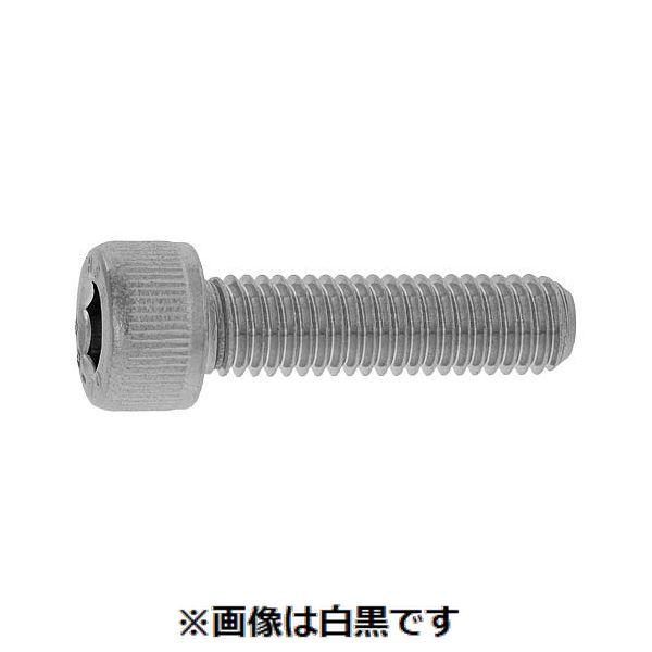 【個人宅配送不可】【個数：300個】ＳＵＮＣＯ 4550418037793 【300個入】 直送 代引不可 SUS329J4L CAP 光精工 6 X 10