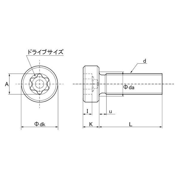 【個人宅配送不可】ＳＵＮＣＯ 4550418246515 【5000個入】 直送 代引不可 三価ブラック TRXローヘッドCAP インタトルク 2．5 X 4_1
