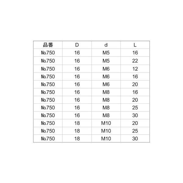 【個人宅配送不可】ＳＵＮＣＯ 4550470204010 【10個入】 直送 代引不可 ＃750 外せんボルト キーNo.16534 M5X16 D16_2