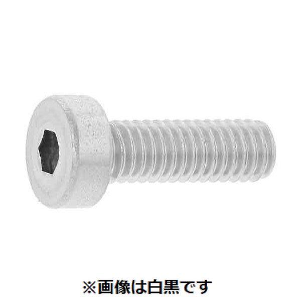 【個人宅配送不可】【個数：100個】ＳＵＮＣＯ 4550470300378 【100個入】 直送 代引不可 SUSローヘッドCAP 六角穴対辺6 10 X 16