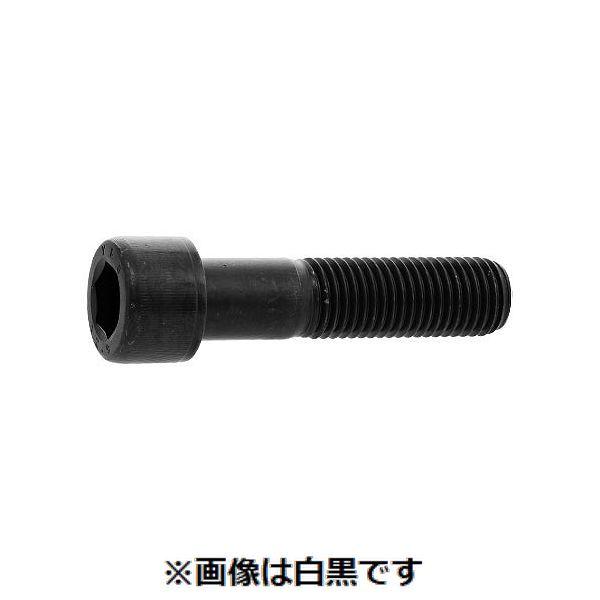 【個人宅配送不可】ＳＵＮＣＯ 4550534697116 【10個入】直送 代引不可 12．9CAP YFS 24 X 60