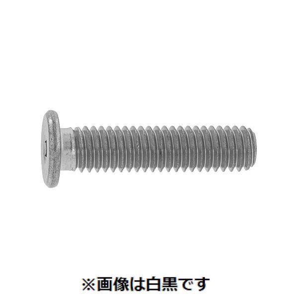 【個人宅配送不可】【個数：100個】ＳＵＮＣＯ 4942131168951 【100個入】 直送 代引不可 三価ブラック 極低頭キャップ 3 X 6