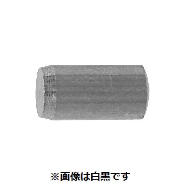 【個人宅配送不可】【個数：100個】ＳＵＮＣＯ 4942131395074 【100個入】 直送 代引不可 SUS 平行ピン A種 姫野精工所製 13 X 35