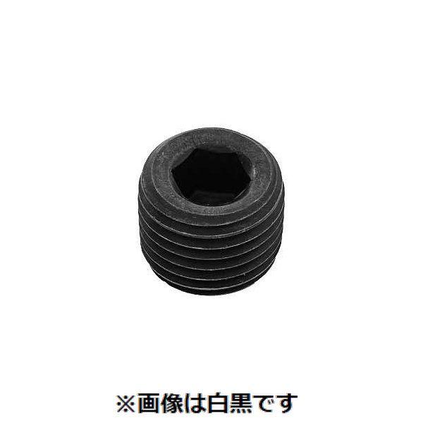 【個人宅配送不可】【個数：300個】ＳＵＮＣＯ 4942131524894 【300個入】 直送 代引不可 GOSHOプラグ 浮き NPTF GD 3／8