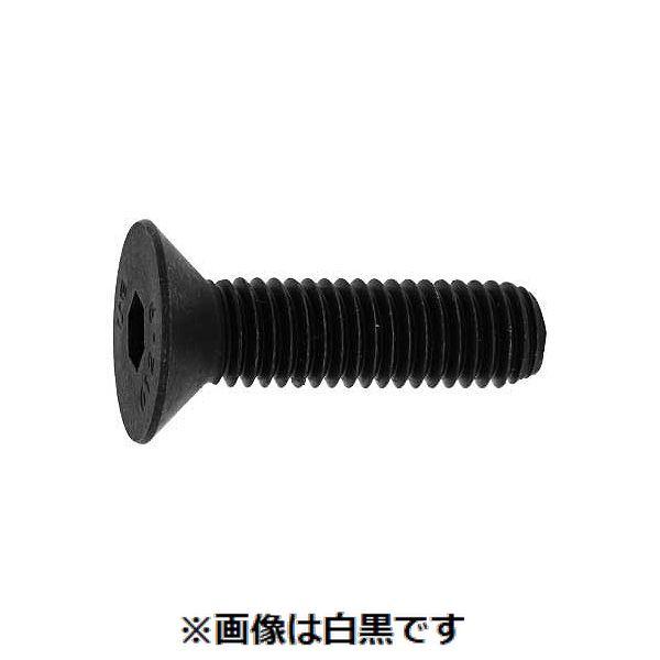 【個人宅配送不可】【個数：200個】ＳＵＮＣＯ 4942131563275 【200個入】 直送 代引不可 サラCAP アンブラコ 全ネジ 8 X 10