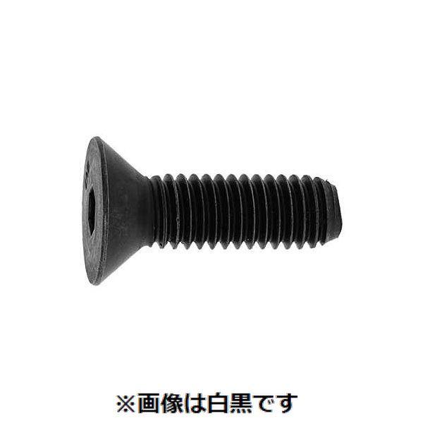 【人間宅送りとどける不可】【個数：100個】ＳＵＮＣＯ 4942131806709 【100個入】 直送 代引不可 サラCAP UNC アンブラコ 5／16X2”1／4