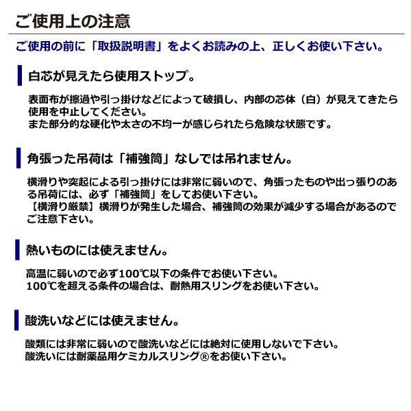 【個数：1個】シライ FED20T×6M 直送 代引不可 シライマルチスリングLIGHT FED 両端アイ形 20ton 幅92mm 長さ6m_2