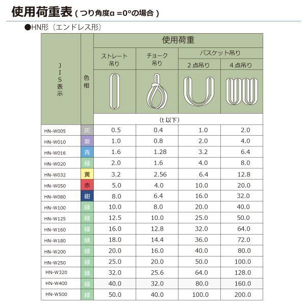 シライ HN-W100X4.5 直送 代引不可 シライマルチスリング HN エンドレス形 10ton 幅100mm 長さ4．5m HNW100X4.5
